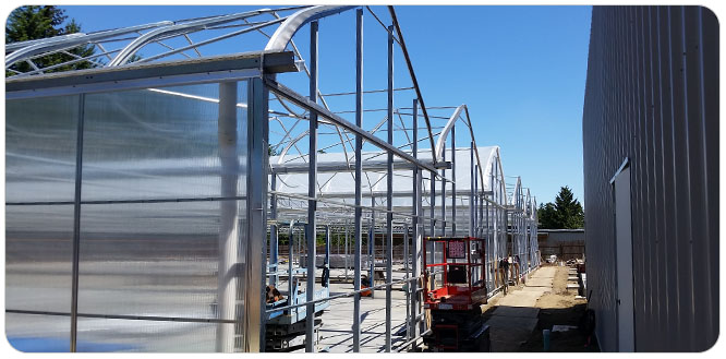 A GGS construction project building 3 gutter connected marijuana greenhouse ranges for a licensed grower in  Washington State started 4/20/2015