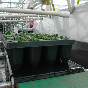 Greenhouse equipment