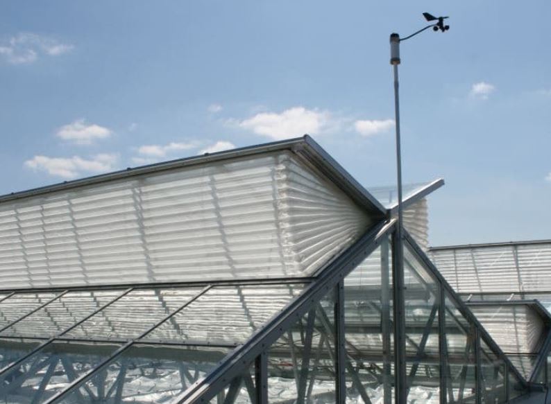 All You Need to Know About Greenhouse Pest Control