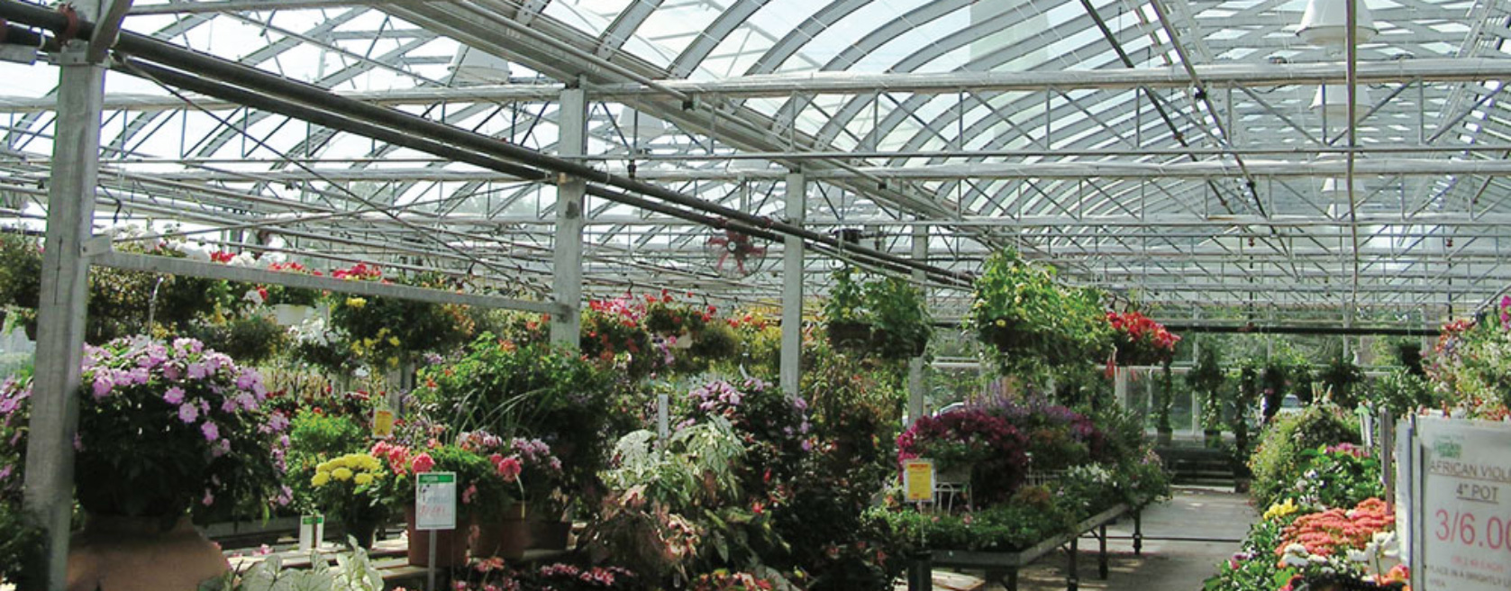 inside of a garden center greenhouse