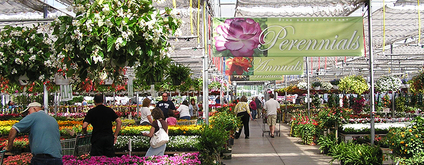 Top 10 Digital Marketing Ideas For Garden Centers Commercial