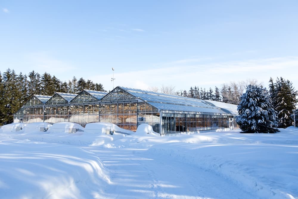 Winter Is Coming: Essential Tips for Heating Your Greenhouse