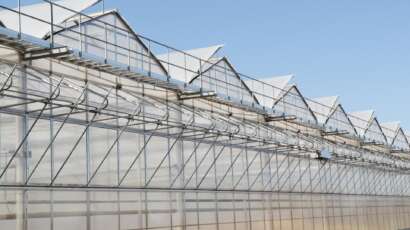 Greenhouse