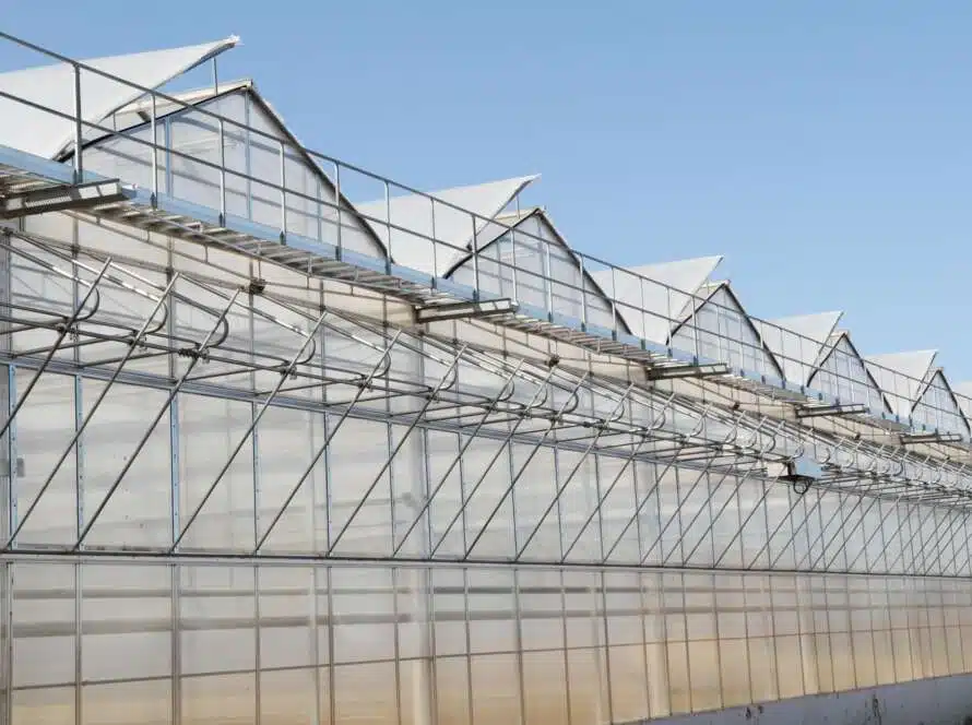 Unlocking Year-Round Crop Success: Navigating the Pros and Cons of Passive Solar Greenhouses