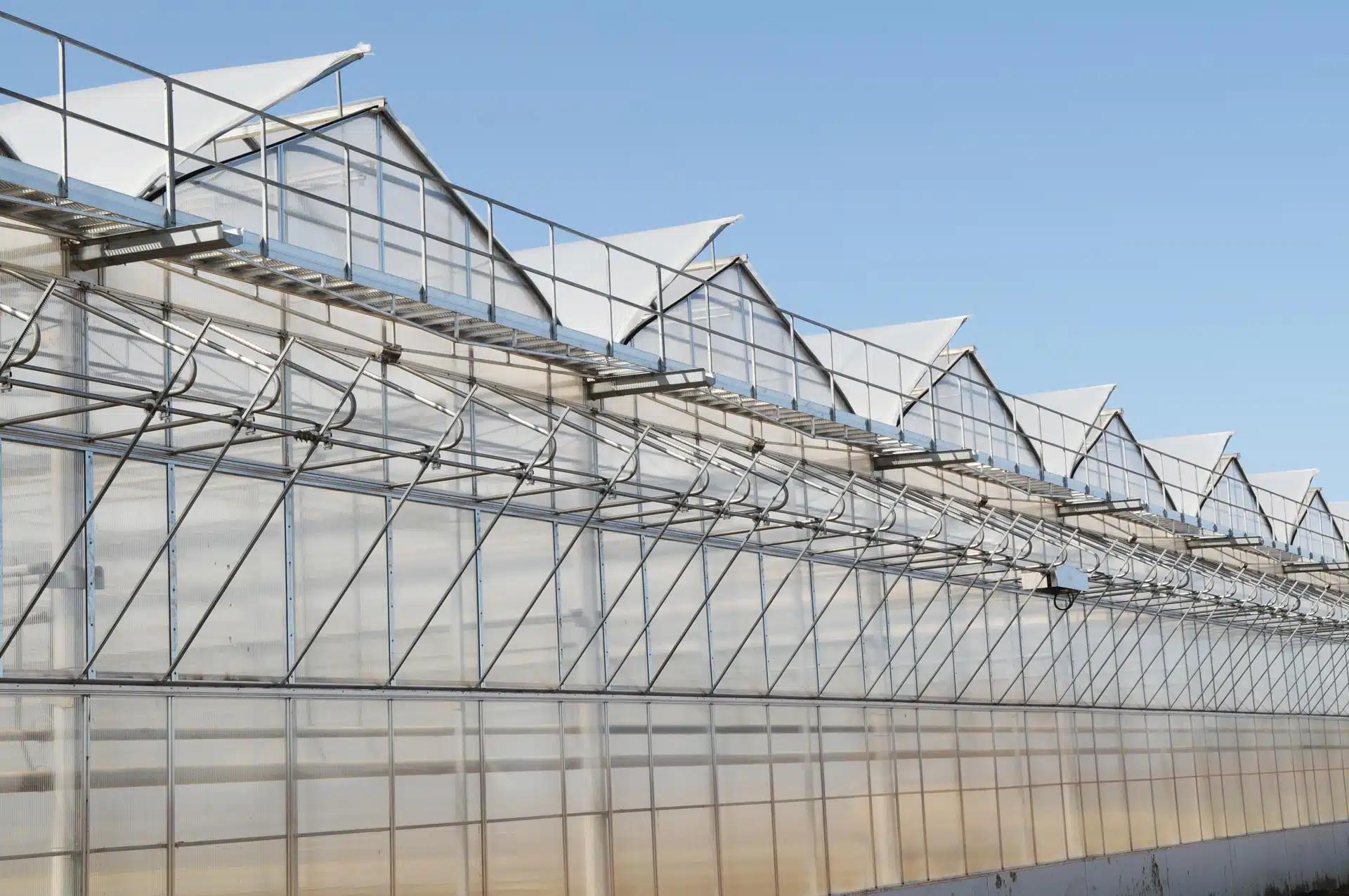 Unlocking Year-Round Crop Success: Navigating the Pros and Cons of Passive Solar Greenhouses
