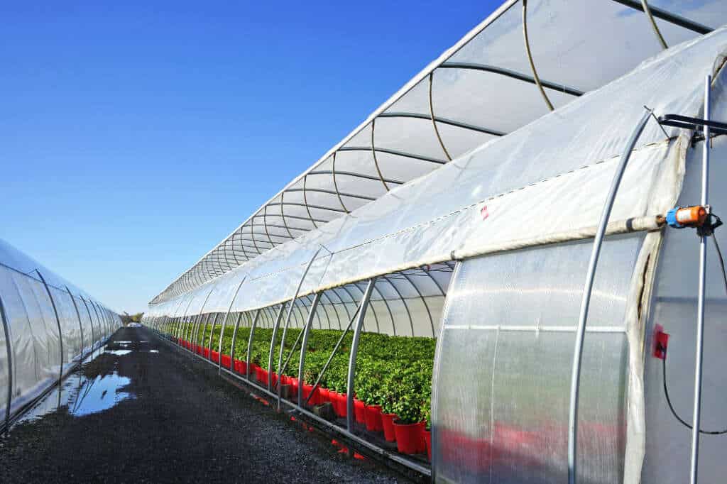 Commercial Greenhouse