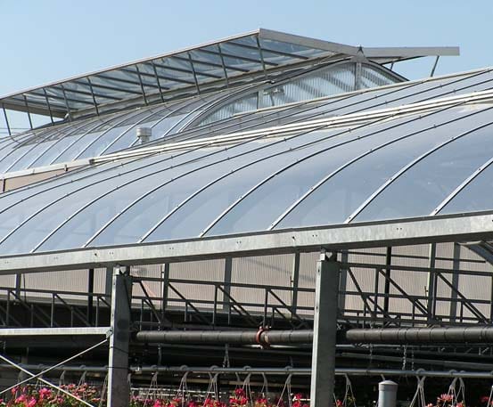 CURVED COMMERCIAL GLASS GREENHOUSE