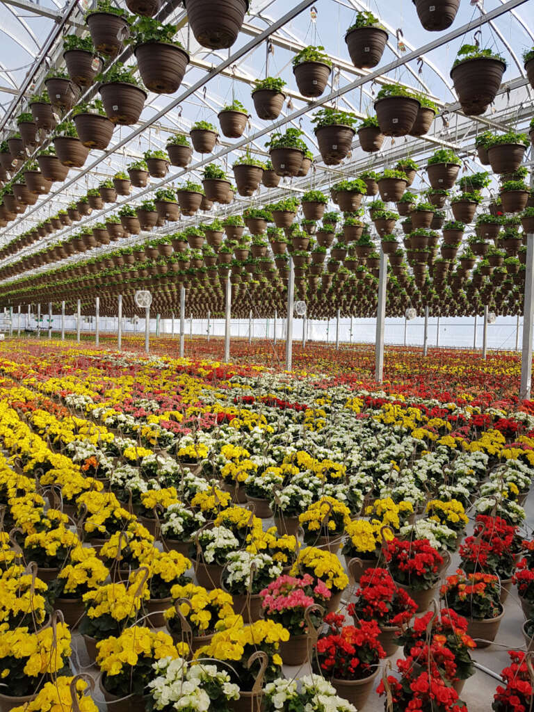 GUTTER CONNECT GREENHOUSE