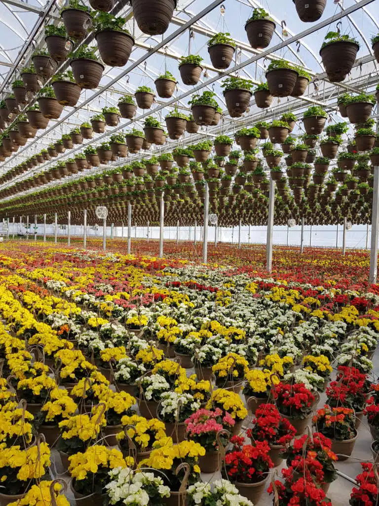 GUTTER CONNECT GREENHOUSE