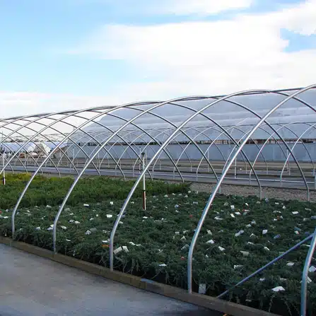 COLD FRAME STRUCTURE