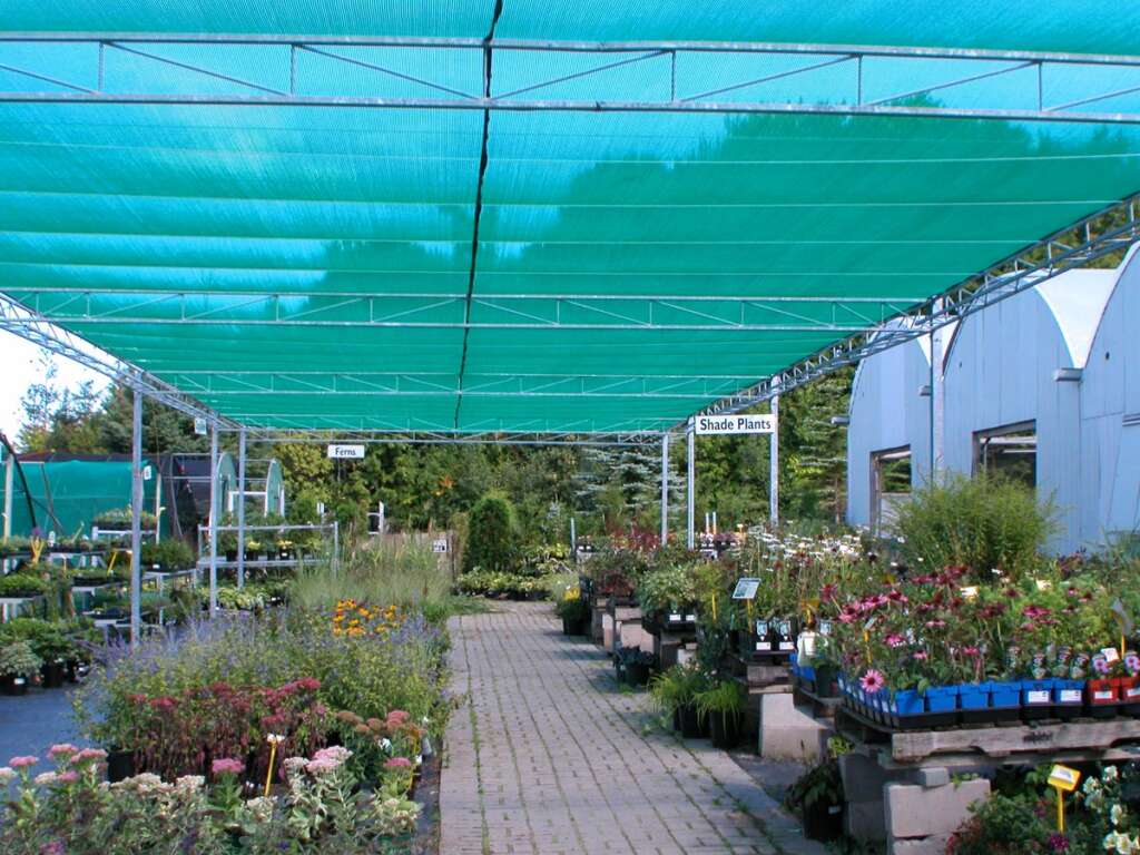 Shade Structure