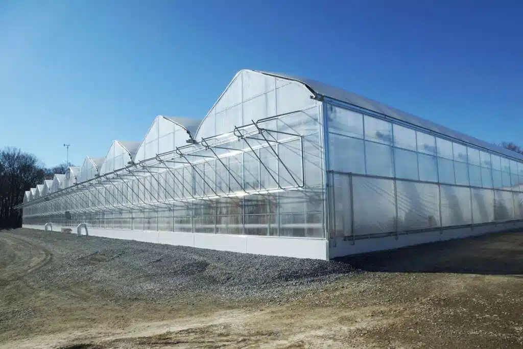Greenhouse