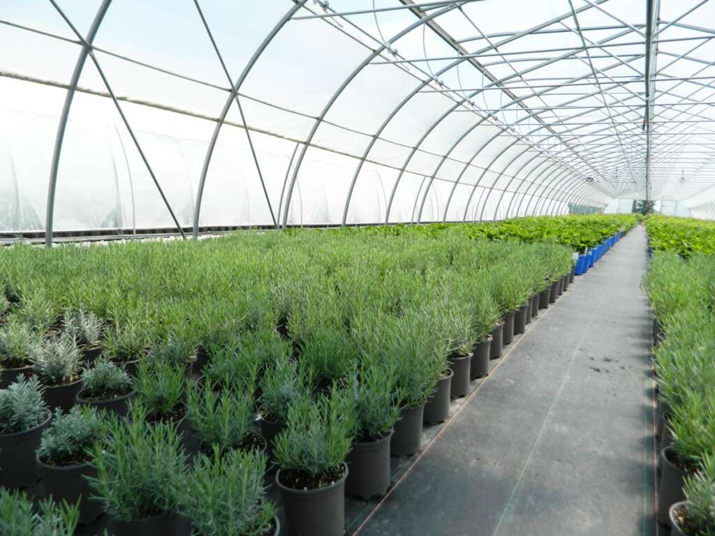 Nurseries