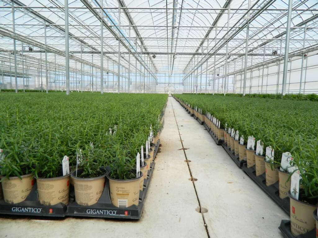 Nurseries