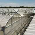 Year-Round Greenhouse Crops: What to Grow by Season | GGS