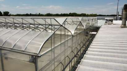 Greenhouse structures outside view