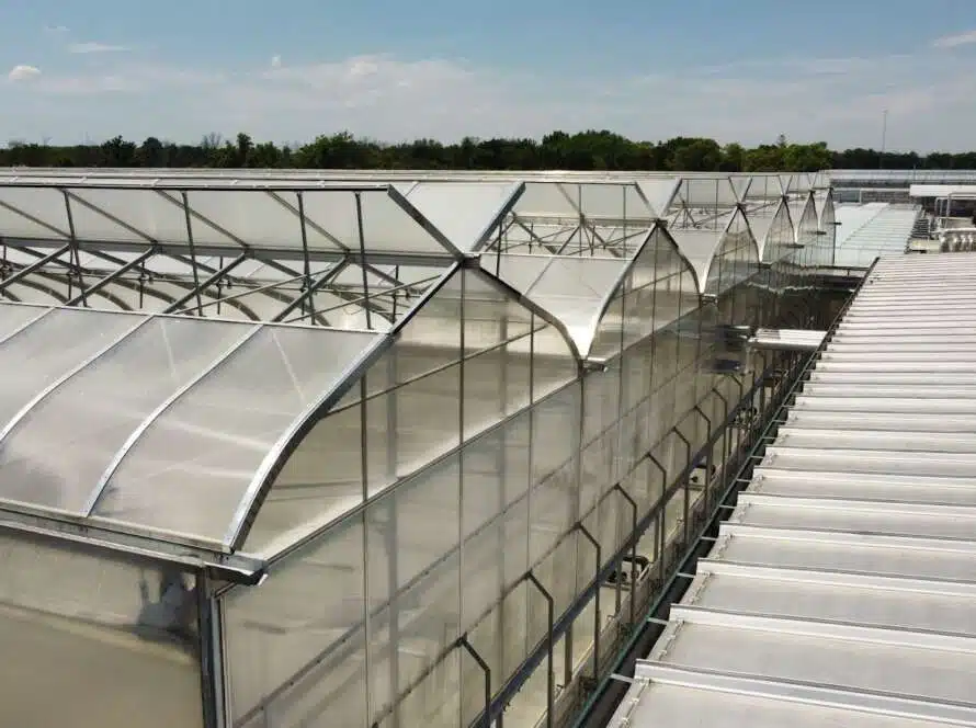 Greenhouse structures outside view