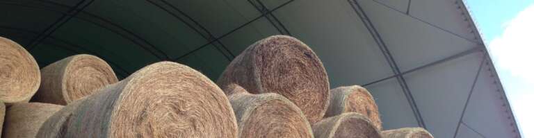 Building Smarter: How GGS Fabric Structures Revolutionize Every Industry