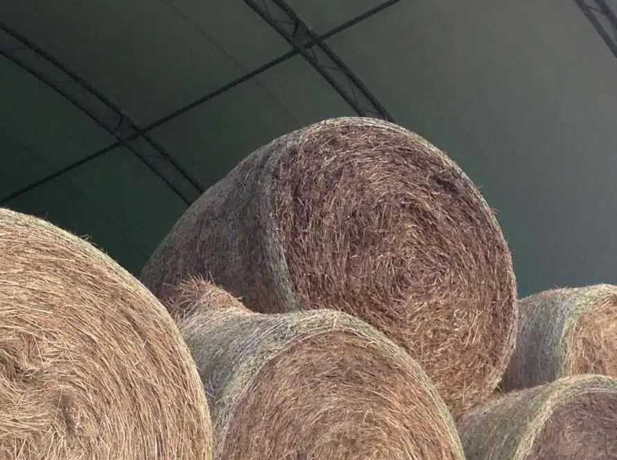 Building Smarter: How GGS Fabric Structures Revolutionize Every Industry