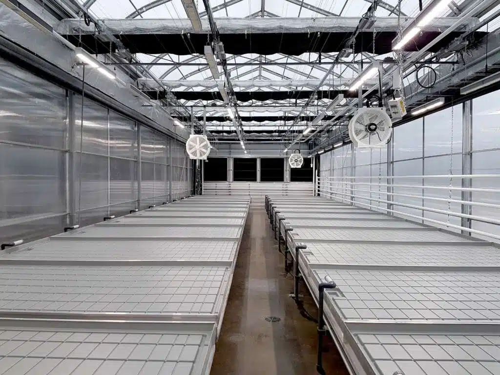 inside a greenhouse structure