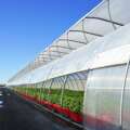Greenhouse Trends, Opportunities, and Challenges