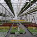 Checklist: What You Need to Build a High-Performing Greenhouse Operation