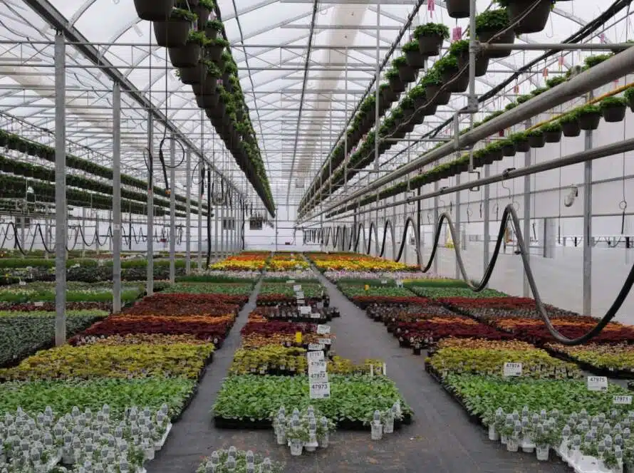 Checklist: What You Need to Build a High-Performing Greenhouse Operation