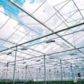 What to Look for in a Greenhouse Manufacturer