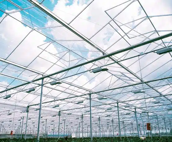 What to Look for in a Greenhouse Manufacturer