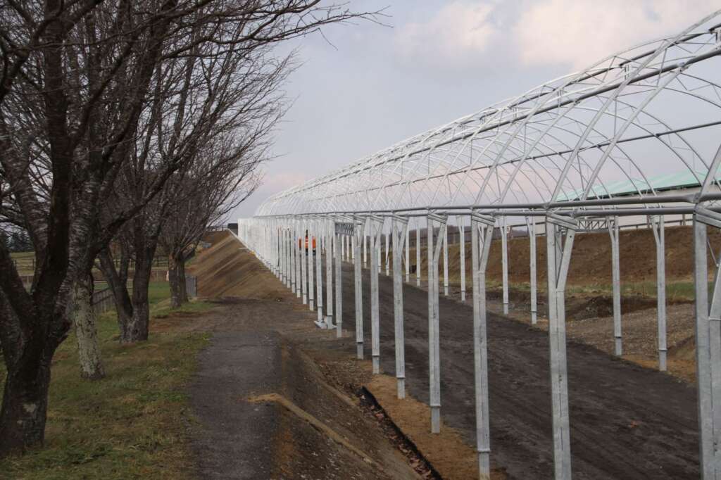 horse training dome structure