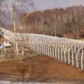 How GGS’s Fabric Covered Structure Transformed Horse Training at Shiraimachi Ranch