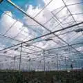 Greenhouse Ventilation Sizing Guide: CFM Requirements by Crop, Climate & Structure Type