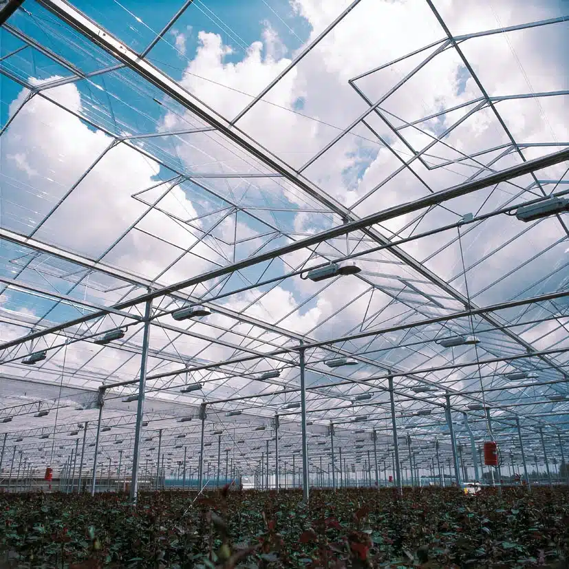 Greenhouse structure with open vents showing a blue sky with white clouds