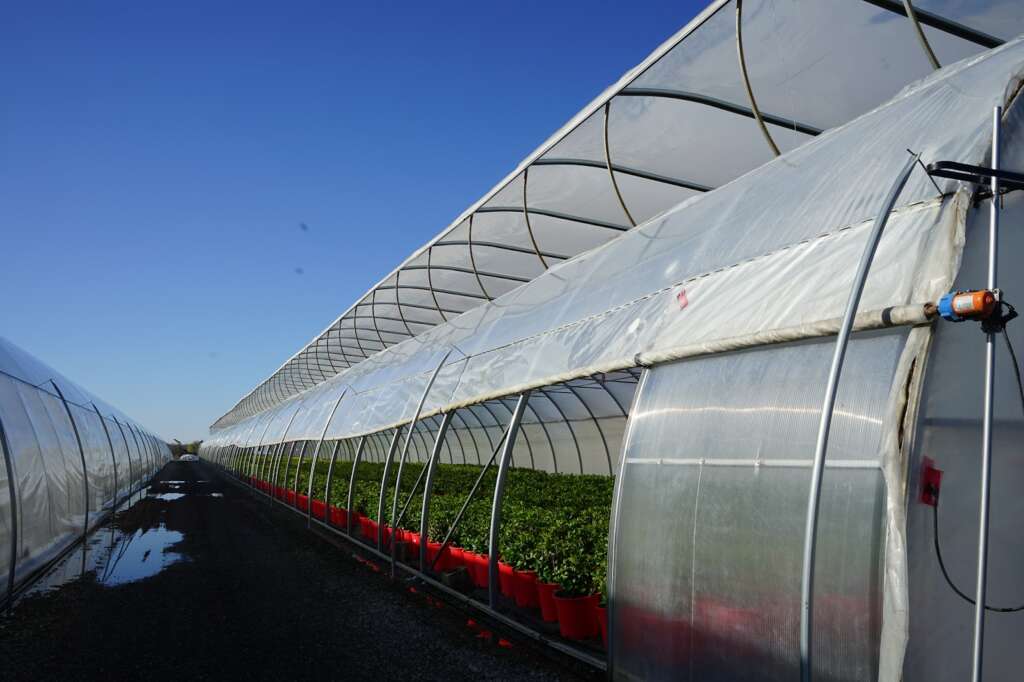 side of a greenhouse structure showing ventilation from the outside