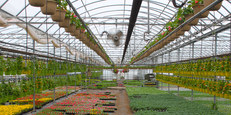 Common Greenhouse Construction Mistakes (and How to Avoid Them)