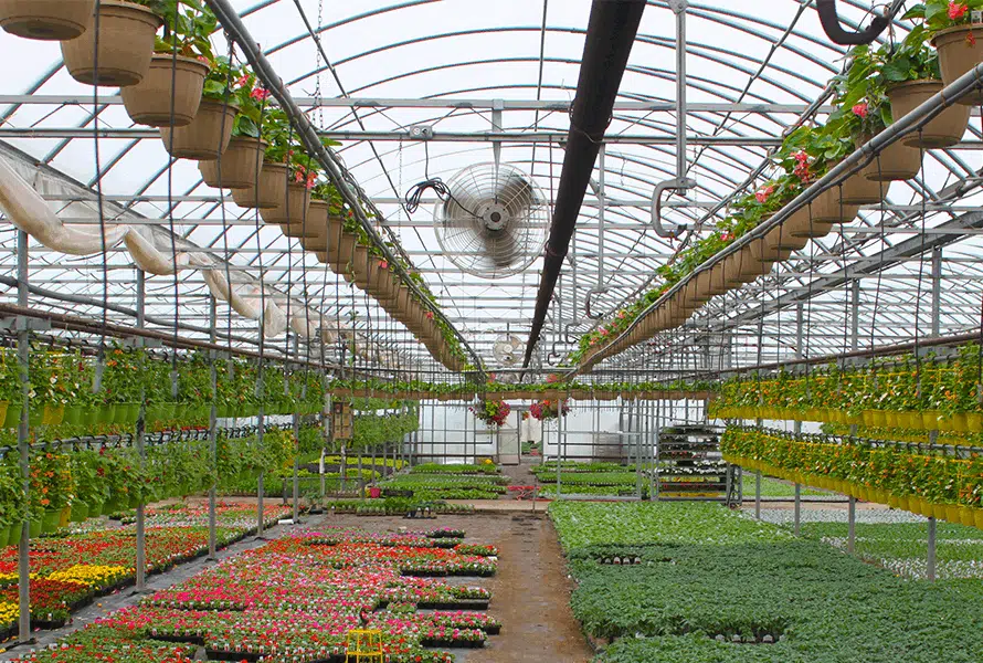 Common Greenhouse Construction Mistakes (and How to Avoid Them)