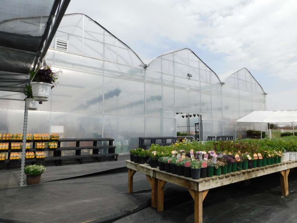 a polycarbonate commercial greenhouse structure from the outside view with a table of plants