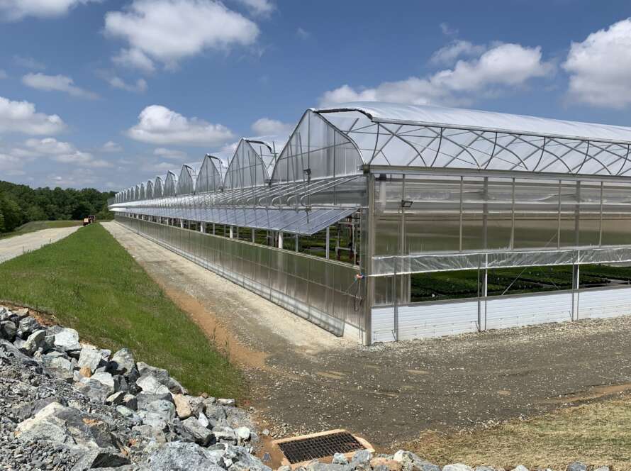The Greenhouse Economics Guide: ROI Calculator for Commercial Growers