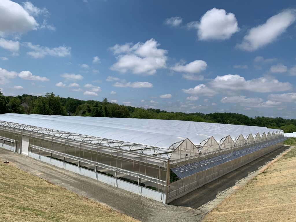 Outside view of a commercial greenhouse structure