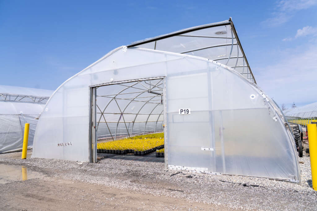 outside of a commerical greenhouse structure with open ventilation