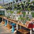 How Garden Centers Can Increase Revenue with Year-Round Greenhouse Sales