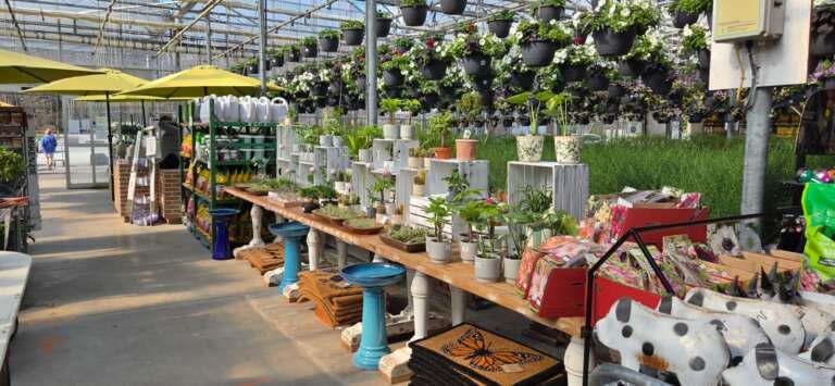 retail items for sale in greenhouse