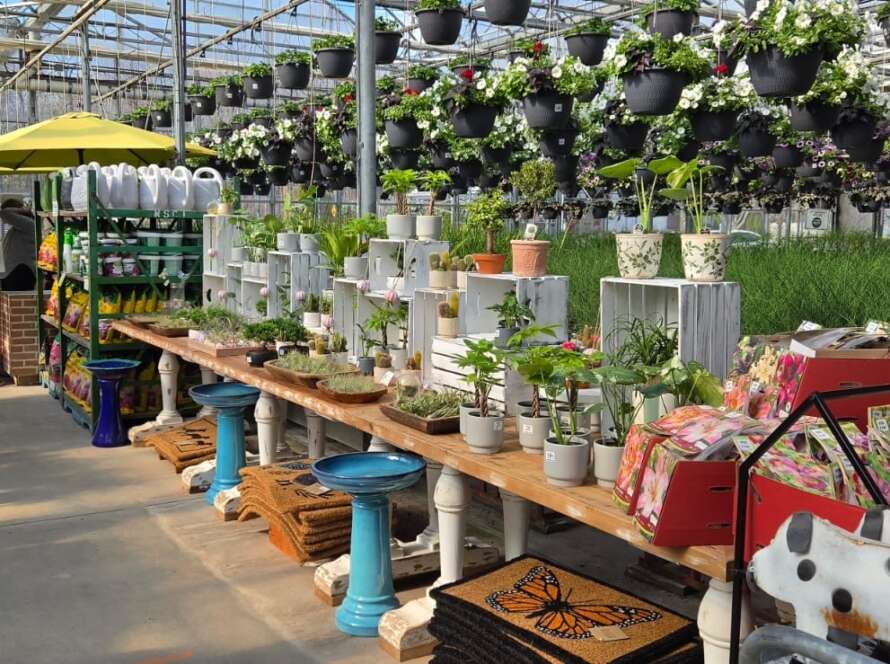 retail items for sale in greenhouse