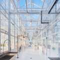 Research & University Greenhouse Design: What Academic Institutions Need vs. Commercial Growers
