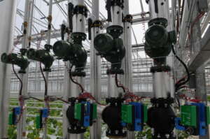 Commercial greenhouse hot water heating system with circulation pumps, insulated piping, and automated control valves