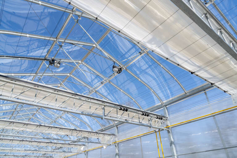 Interior of a commercial greenhouse with plants growing during the winter season