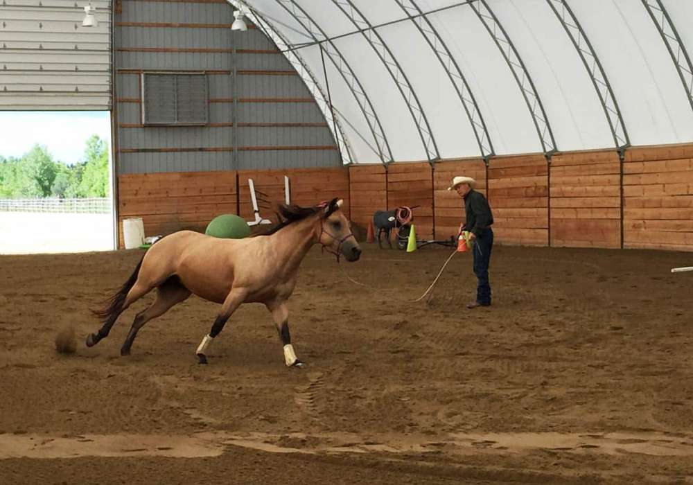 Equestrian Dome