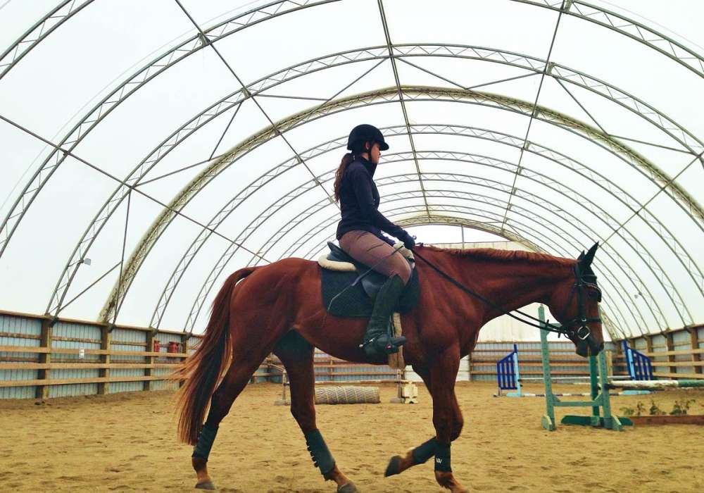 Equestrian Dome