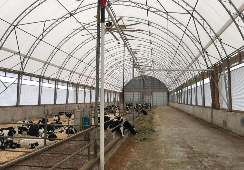 Livestock Dome