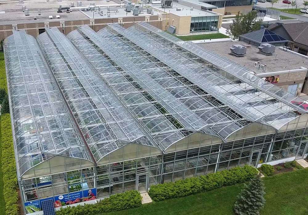Niagara College